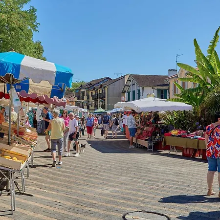 T1 Bis Proche Thermes, Animaux Admis, Parking Et Wifi - Fr-1-841-23 * Barbotan-les-Thermes